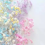 Samira Kamar - Facebook