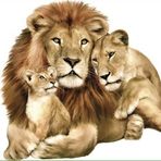 Samira King - Facebook
