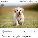 samiralong - @samiralongo13 - Instagram
