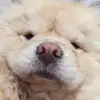 averysamira.bmarshall - @averysamira.bmarshall - TikTok