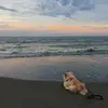 averysamira.bmarshall - @averysamira.brmarshall - TikTok