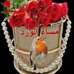 Samira Matar - @samiramatar715 - Instagram
