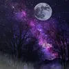 Samira.Smiles - @samira.smiles - TikTok