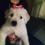 @_samira.mitchell_ - Instagram