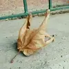 samira.moradi - @samira.moradi - TikTok