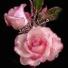 Samira Mourad - @samira.mourad5 - TikTok