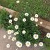 Samira Mousavi - Facebook
