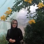samira@mousavi - @samiramousavi67 - Instagram