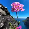 mariana T O - @samira.de.osorio - TikTok