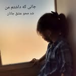 @samira_paydar71 - Instagram