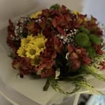 Samira Paydar - Facebook
