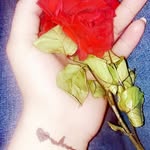 Samira Radwan - @samira.radwan.547 - Instagram