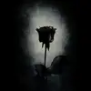 💔🥀 - @samira.rahimi50 - TikTok