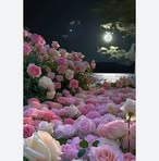 Samira Rahimi - Facebook