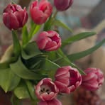 Samira Rahimi - Facebook