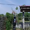 kali - @samiraray06 - TikTok