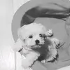 SamiraRojas♡ - @samirarojas31 - TikTok