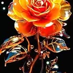 Samira Roy - Facebook