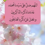 Samira Sadek - Facebook