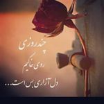 samira65 - @samira_saedi65 - Instagram
