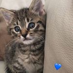samira saedi - @saedi1386 - Instagram