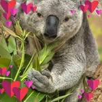 Samira Salam - @samira.salam.7 - Instagram