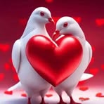 Samira Salam - Facebook