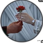 Samira Salame - @its_sakshi_salame - Instagram