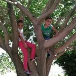 Samira Saliba - @samira.saliba.7 - Instagram