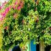 Samira Sharma - Facebook
