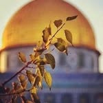 سميرة شاور التميمي - @samirashawer - Instagram