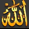 samiraa - @samiraa.shawaa - TikTok