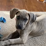 Samira - @samira_someday_smalley_ - Instagram
