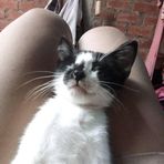 Samira Soto - Facebook
