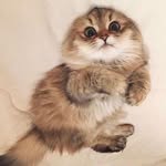 samira souri - @samisoori8 - Instagram