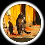 Samira Souri - Facebook