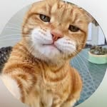 Samiul Islam - @un_cuit_lora_786 - Instagram
