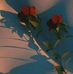 Samiya Mohammed - Facebook