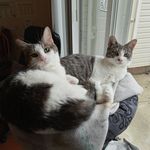 Sammy & Avery - @hossnbeans - Instagram