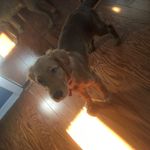Sammy Ayoub - @ayoub_sammy - Instagram