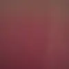 sammy ayoub - @guinna6050 - TikTok