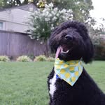Sammy Bachman - @sammy.bachman - Instagram