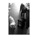 Sammy&bailey&shita❤️ - @sammy.bailey.shita - Instagram