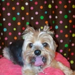 Sammy Barr - Facebook