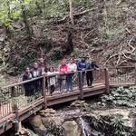 Sammy Barrett - @sammycorey_8986 - Instagram