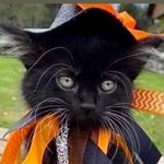 Sammy Beasley - @critterfixer_32 - Instagram