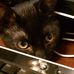 Sammy Bennett - Facebook