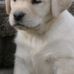 Sammy Bennett - Facebook
