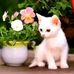 Sammy Best - Facebook
