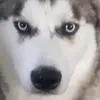 Sammy Bishop - @sam12678 - TikTok